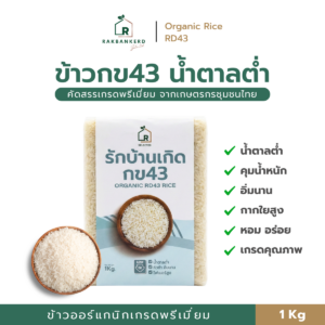 ข้าว กข 43